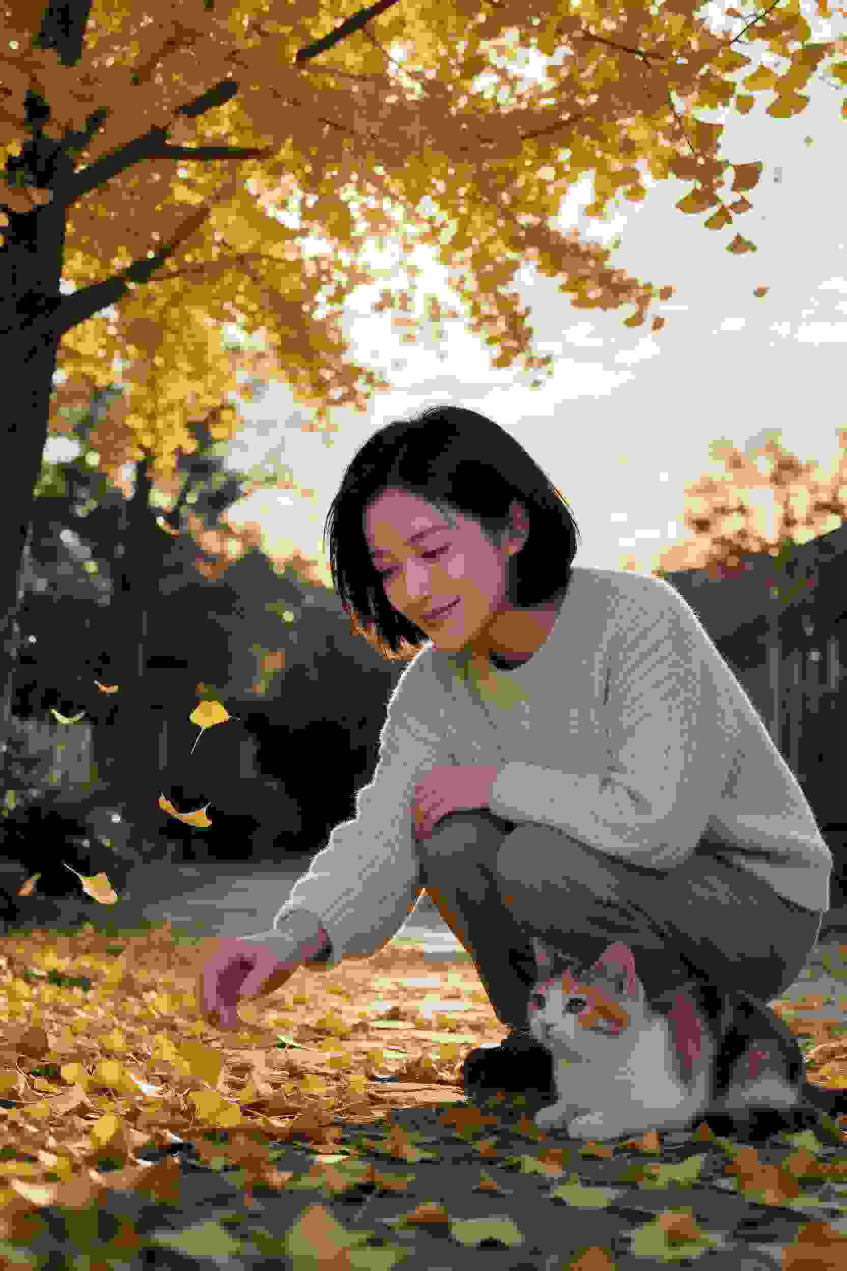 荒岛美人密码